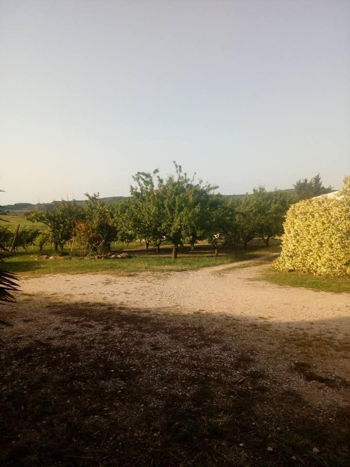 Residenza Agrituristica Santa Lucia Con Piscina Διαμέρισμα Αλγκέρο Εξωτερικό φωτογραφία