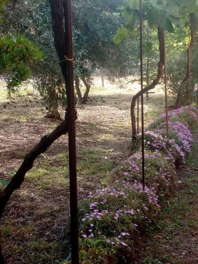 Residenza Agrituristica Santa Lucia Con Piscina Διαμέρισμα Αλγκέρο Εξωτερικό φωτογραφία