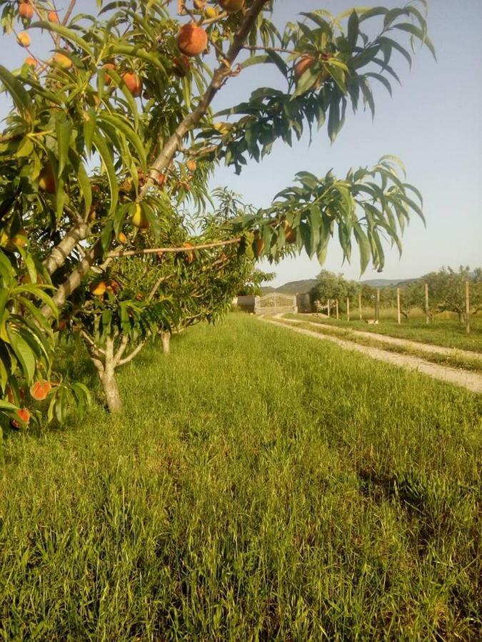Residenza Agrituristica Santa Lucia Con Piscina Διαμέρισμα Αλγκέρο Εξωτερικό φωτογραφία