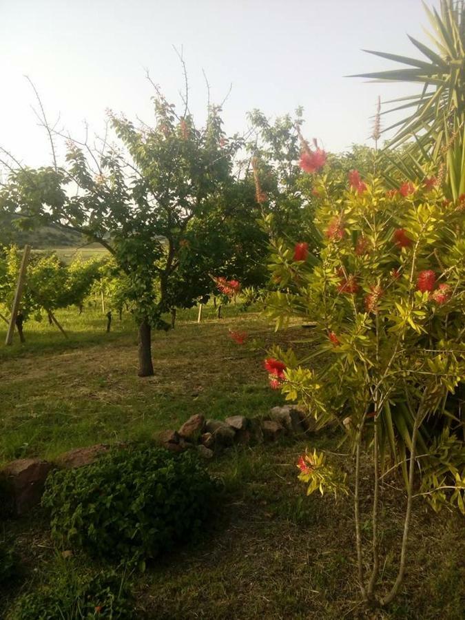 Residenza Agrituristica Santa Lucia Con Piscina Διαμέρισμα Αλγκέρο Εξωτερικό φωτογραφία